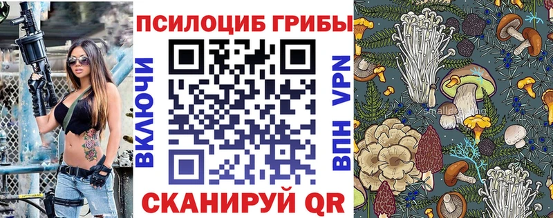 Галлюциногенные грибы Psilocybe  Пикалёво 